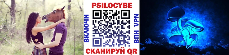 Купить закладки  Алейск  Галлюциногенные грибы MAGIC MUSHROOMS 