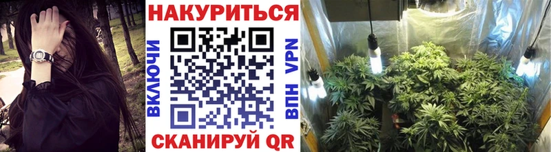 МАРИХУАНА индика Алейск